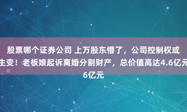 股票哪个证券公司 上万股东懵了，公司控制权或生变！老板娘起诉离婚分割财产，总价值高达4.6亿元
