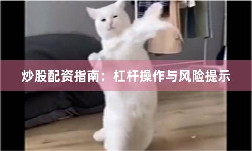 炒股配资指南：杠杆操作与风险提示